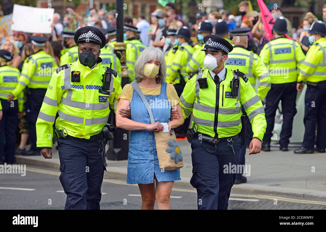 London, UK. Protester being arrested at an Extinction Rebellion protest in `Parliament Square, 1st September 2020 Stock Photo